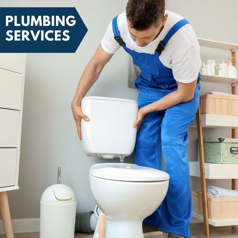 Plumbing Company in Maple City, MI